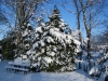 obgrwinter