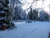 obgrwinter1
